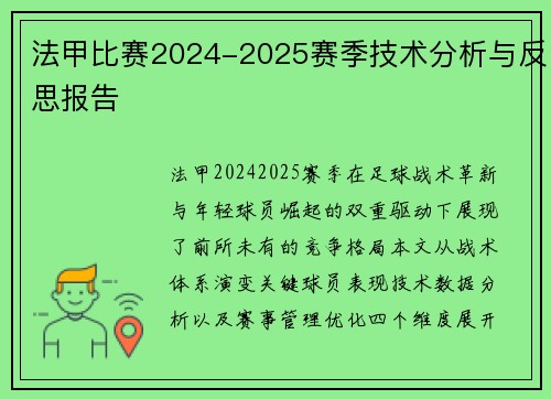 法甲比赛2024-2025赛季技术分析与反思报告